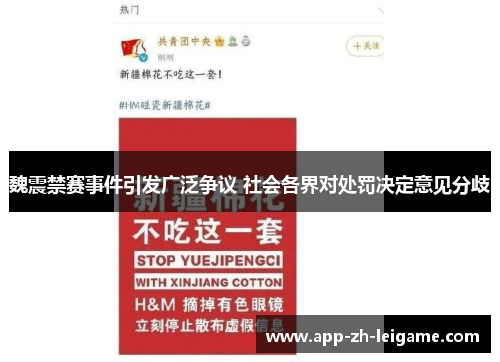 魏震禁赛事件引发广泛争议 社会各界对处罚决定意见分歧